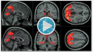 12-10-29-brain more proof of the power of stories.