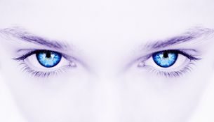 pellucid creations meaning pellucid creations meaning