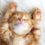 13 ways to boost your writing by catching more ZZZZZs…