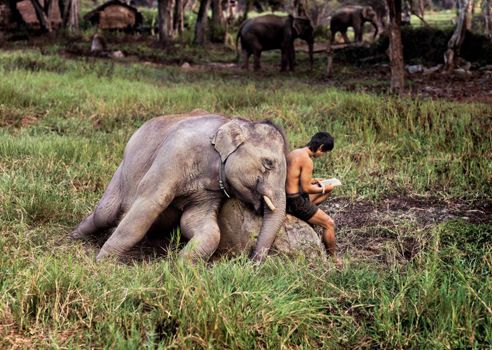 steve mccurry