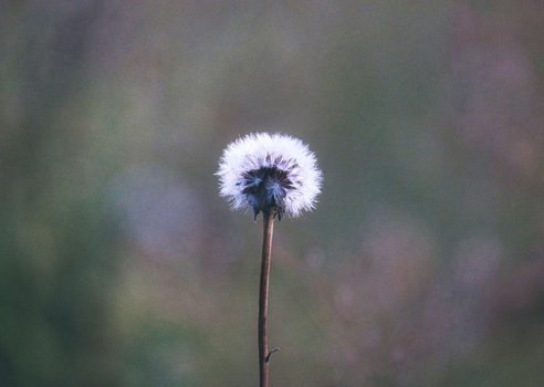 vulnerability in writing