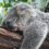 Are you getting enough sleep to be creative?