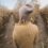 Analysis paralysis is killing your writing — and here’s the antidote