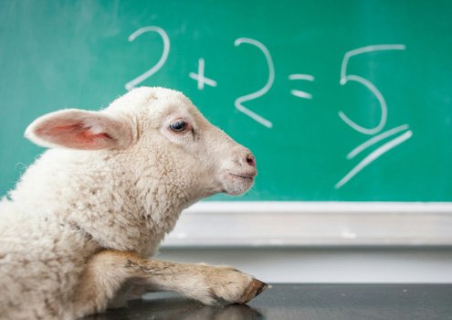 Is your writing too simple?