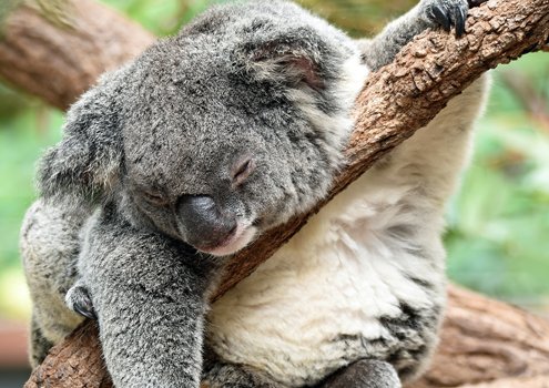 The real reason you’re not writing (and it isn’t laziness)