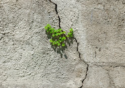 Why you think you’re getting worse at writing (when you’re not)