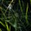 Your brain is lying to you: six negative thoughts that stall writers