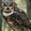 How to write if you’re a night owl (and love it)