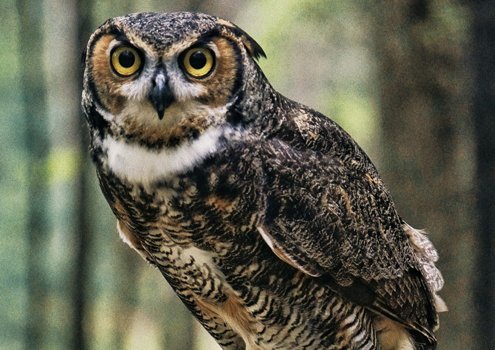 How to write if you’re a night owl (and love it)